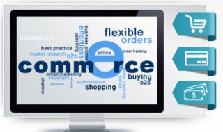 The Future of Online Shopping: E-commerce Trends to Watch in 2024