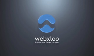 A Voyage Through the Ever-Shifting Tides: Webxloo and its Role in Web Evolution