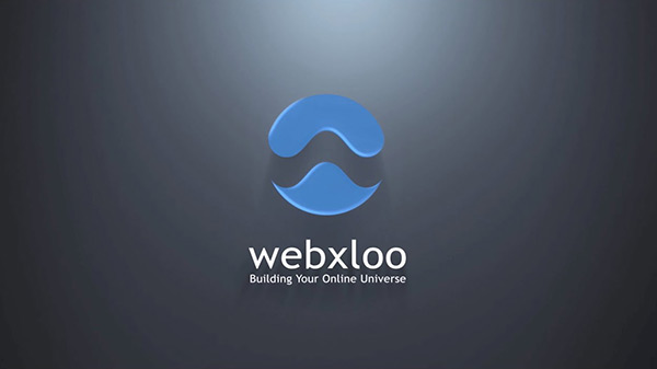 Platform Powerhouse: How Webxloo Developers Select the Best Technology for Your Unique Project Needs