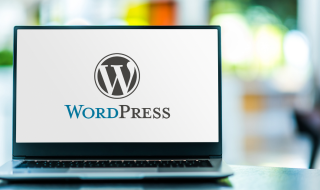 Demystifying Website Management: How WordPress Makes Content Creation a Breeze